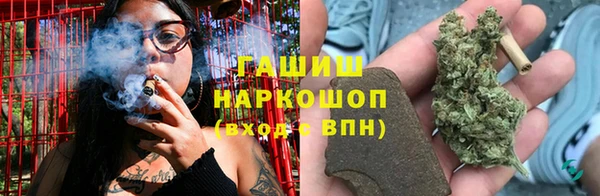 гидропоника Бородино