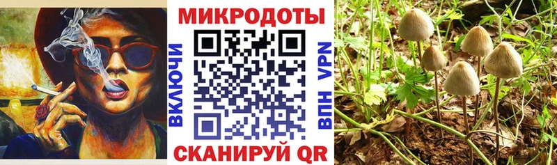 гидра ONION  Энем  Галлюциногенные грибы GOLDEN TEACHER 